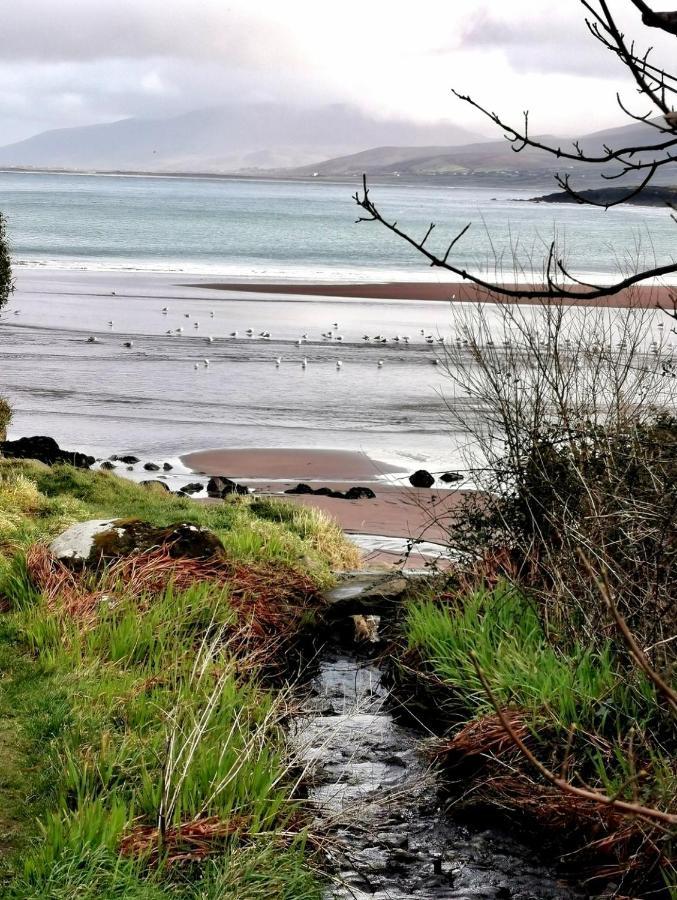 The Ce Hideout Leilighet Tralee Eksteriør bilde